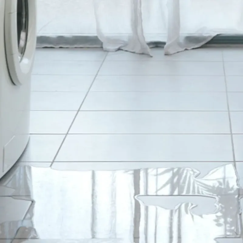 Appliance Leak Cleanup in Universal City, TX