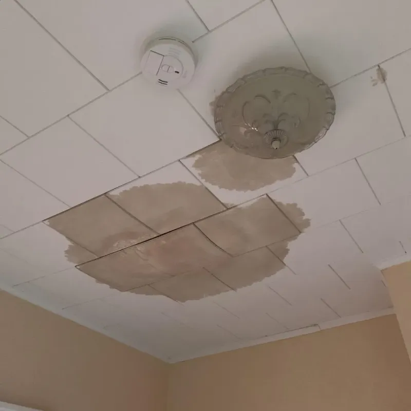 Ceiling Water Damage Repair in Universal City, TX