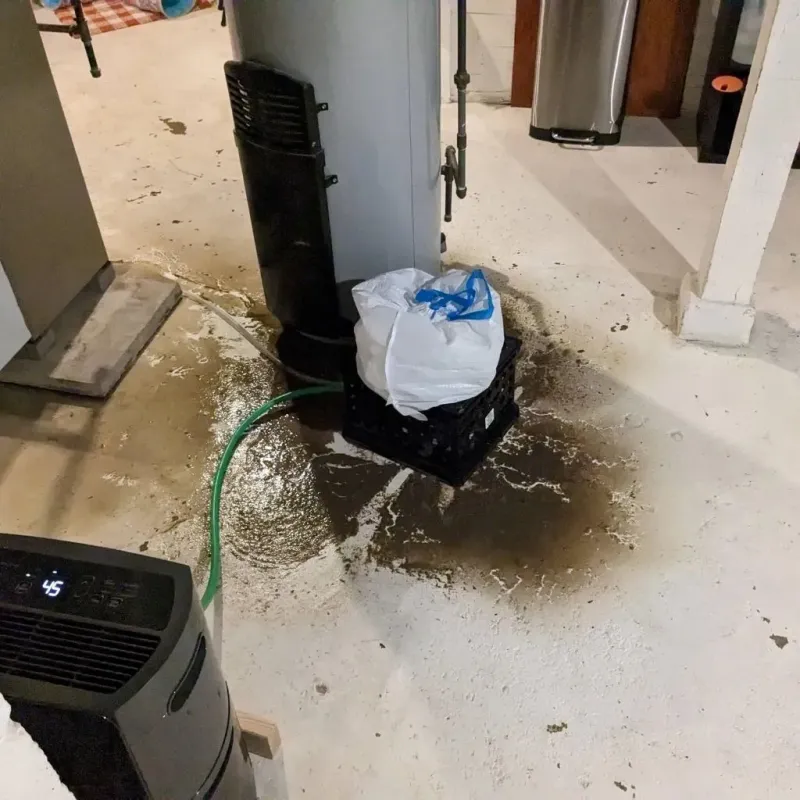 Sewage Backup Cleanup Service in Universal City, TX